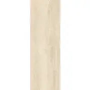 Плитка Paradyz Silence Beige Polysk Rekt 25x75 настенная