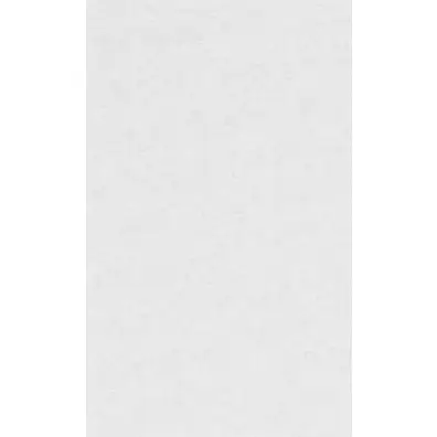 Виниловые обои BN Panthera 220160 10.05х0.53