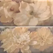 Декор Azulev Capuccino Magnolia Natural 60x60 (комплект)