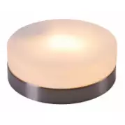 Настенно-потолочный светильник Globo Opal 48401
