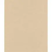 Флизелиновые обои Rasch Textil Alliage 297545