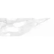 Плитка Ceramika Konskie Calacatta White 25x75