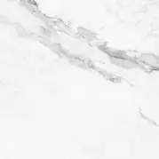 Керамогранит Insignia White Silk Pav. 59.5x59.5 Colorker