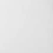 Плитка Bardelli Monocolor 20x20 напольная monocolor N1000 20