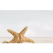 Декор Golden Tile Summer Stone Holiday 3 бежевый 25x40 В41331