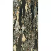 Керамогранит Rex Ceramiche Les Bijoux De Rex Quatre Saisons Mat 6mm Rett 120x280 765691