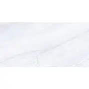 Плитка Alma Ceramica Arcadia 24.9x50 настенная TWU09ARC007