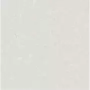 Керамогранит Arcana Ceramica Spuma Panna 59.3x59.3 ARC_88T8