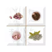 Декор Aroma Fosker Decor composicion Set S/4 A 10x10 Absolut Keramika