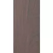 Керамогранит Casalgrande Padana Newood Wenge 60x120 4460194