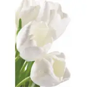 Панно Нефрит Сприн 50x75